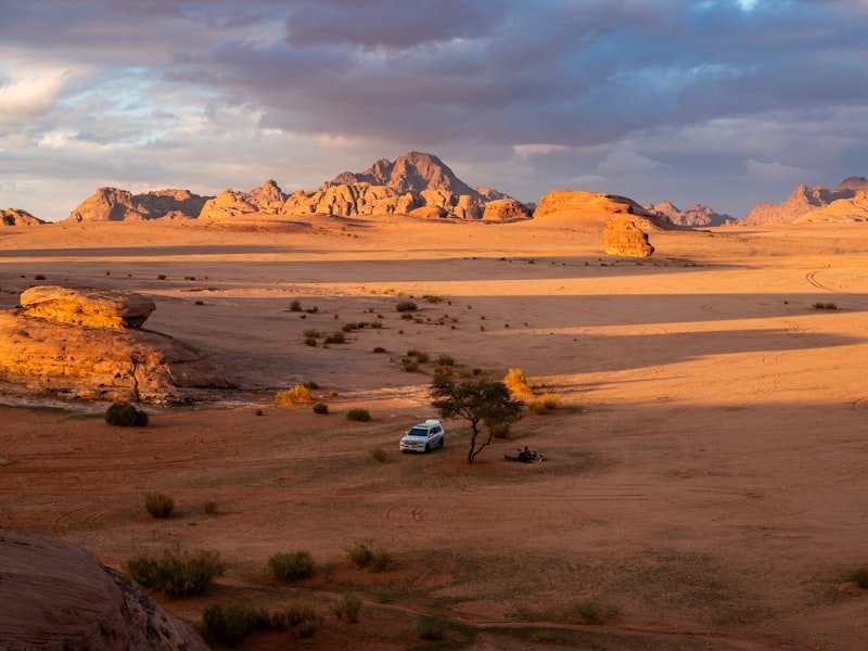 تبوك